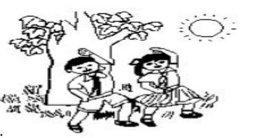 一年级看图写话视频,趣味盎然，启迪智慧