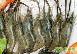 河虾养殖视频,从选种到收获的实用指南