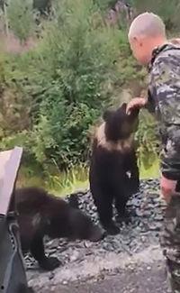 俄罗斯熊被打视频