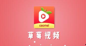 草莓下载视频,轻松获取精彩视频，畅享视听盛宴
