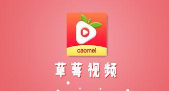 草莓下载视频,轻松获取精彩视频，畅享视听盛宴