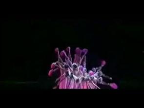 最美中国红舞蹈视频,探寻最美舞蹈视频的韵律与情感